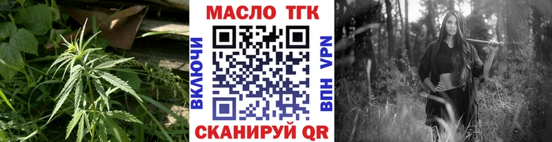 ОМГ ОМГ ТОР  Кингисепп  ТГК жижа 