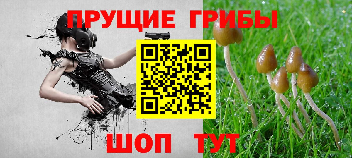 Галлюциногенные грибы GOLDEN TEACHER Кингисепп