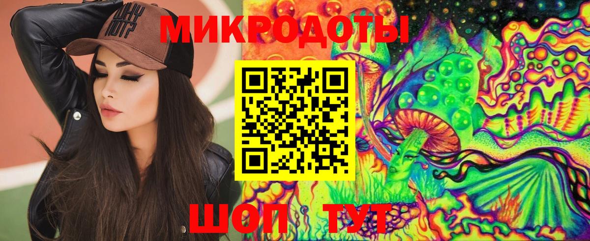 Галлюциногенные грибы прущие грибы  Кингисепп  Галлюциногенные грибы ЛСД 