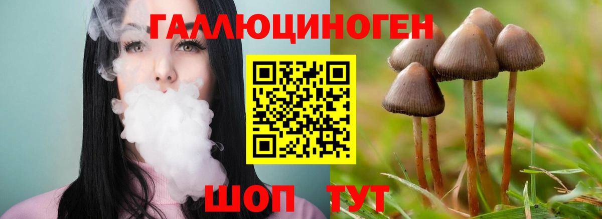 Кингисепп  Галлюциногенные грибы мицелий  Вход с VPN 